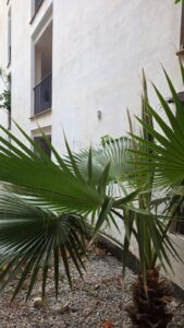 Sensores Crepusculares y Horario piscina